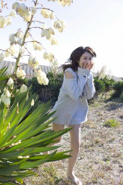 回天by犹大的烟